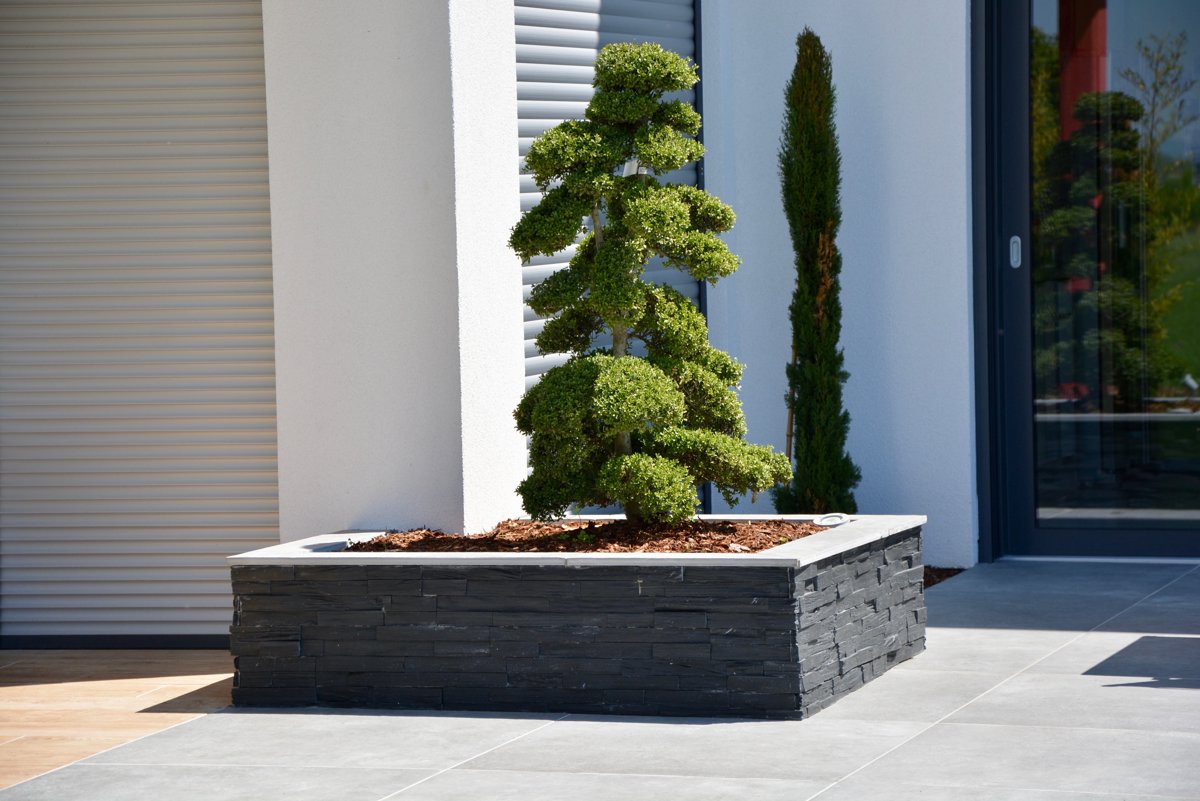 TEMSE 60x15x2-3.5 CM